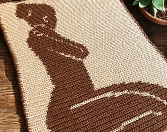 Matisse Crochet Wall Hanging Pattern: Hygge Home Decor (PDF Pattern)