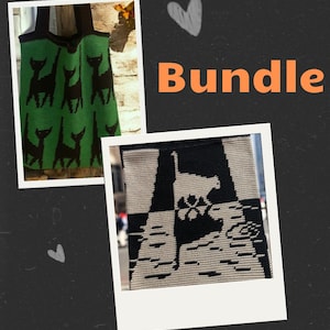 Puede incluir: Un paquete de dos patrones de ganchillo con gatos negros. El primer patrón es para una bolsa de mano verde con siluetas de gatos negros. El segundo patrón es para un cuadrado blanco y negro con una silueta de gato negro.