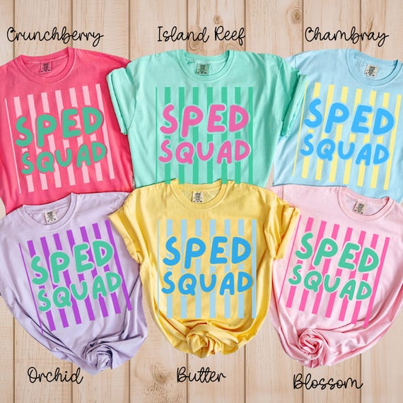 Special Education Teacher Shirt, Comfort Colors® Sped Tee,Special Education team,back to school tee,Preschool teacher,Elementary Teacher tee