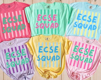 Ecse Teacher Shirt, Early Childhood Tee, ECSE Team shirt, Pre K team, Back to School Teacher tee, Preschool teacher, Elementary Teacher tee