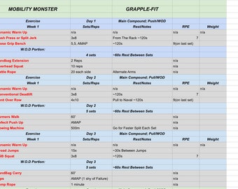 Combattant de compétition : 12 semaines de force et de conditionnement physique
