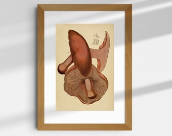 Vintage Mushroom Poster Digital Download for Home Decor Botanical Mushroom Art Rustic Wall Art DIY Framing for Nature Lovers Print Yourself