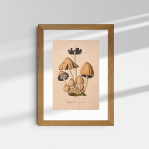 Rustic Mushroom Decor for Farmhouse Style Vintage Mushroom Illustrations and Art Prints Kitchen Decor and Dining Room Wall Decor