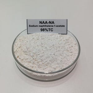 25G Naphthalene Acetic Acid plant powder Water soluble NAA-NA 98%