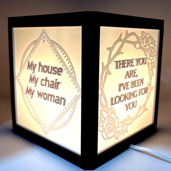 Book Boyfriend Lamp | Light Up Quotes | Decorative Book Decor | Cover Art | Lithophane | 3D Print | Gift | Romantasy