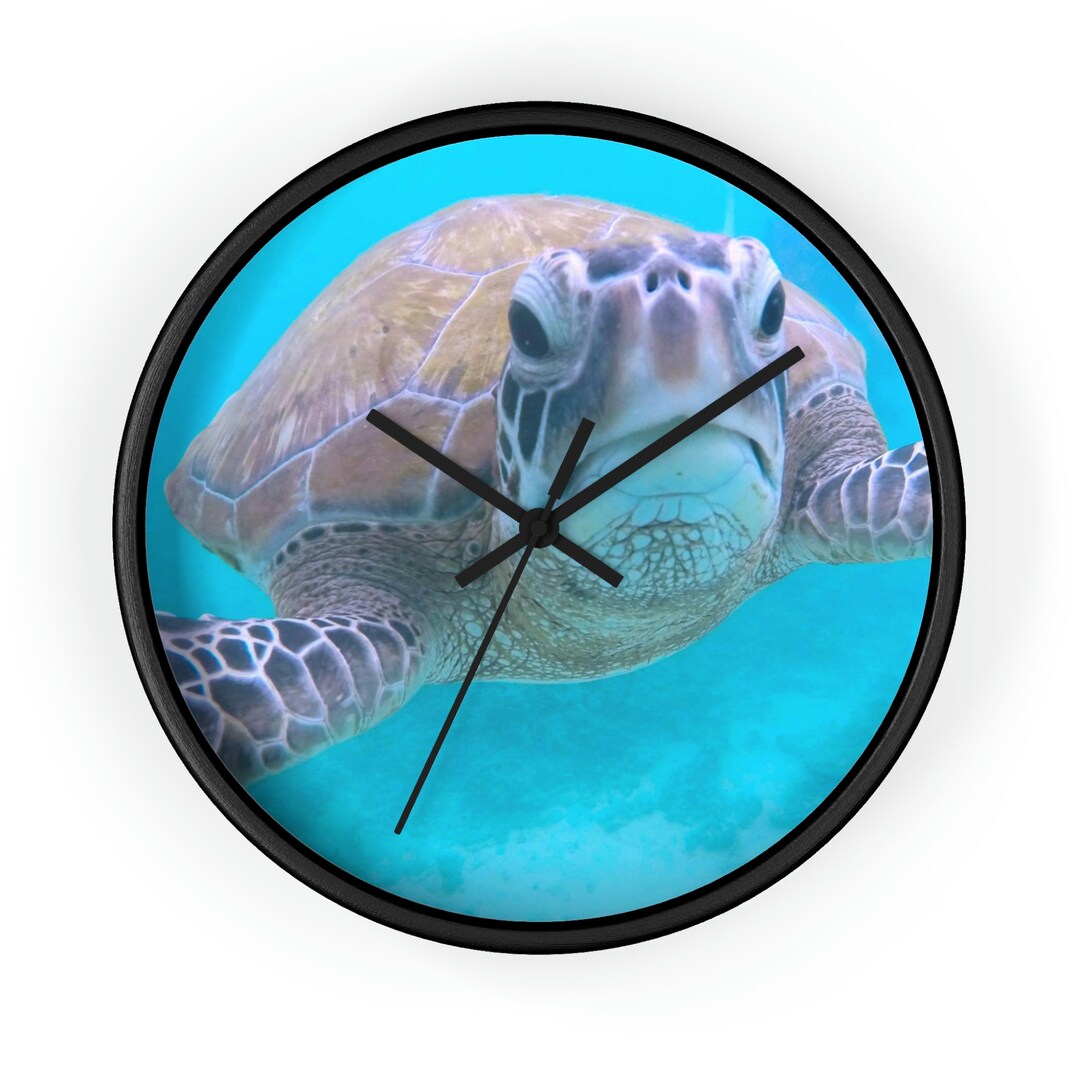 Turtle Wall Clock Photograph Room Accent Decor Sea Etsy