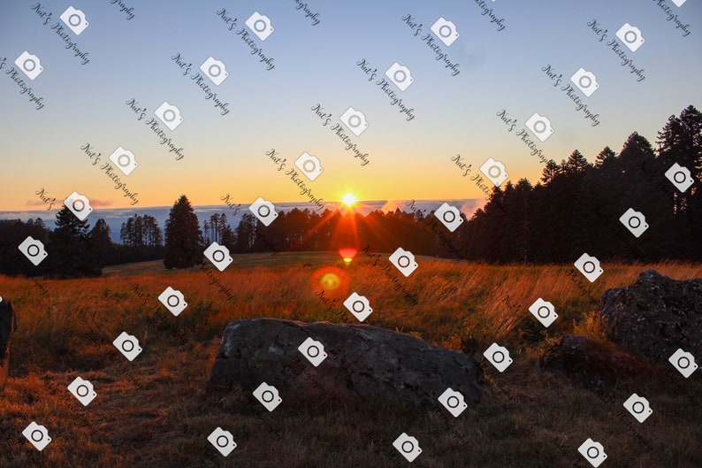 May include: A scenic landscape photograph of a sunrise over a forest with a large rock in the foreground. The sky is a vibrant orange and pink, and the sun is shining brightly. The forest is dark green, and the rock is gray and textured.