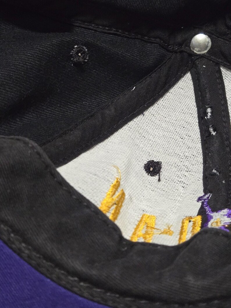Vintage jaren 90 Nike Michael Jordan snapback hoed gemaakt in de VS paarsgeel afbeelding 17