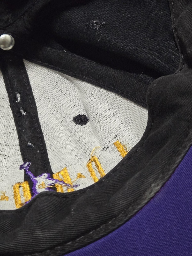 Vintage jaren 90 Nike Michael Jordan snapback hoed gemaakt in de VS paarsgeel afbeelding 16