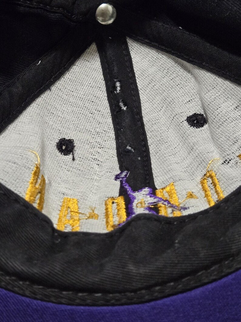 Vintage jaren 90 Nike Michael Jordan snapback hoed gemaakt in de VS paarsgeel afbeelding 18