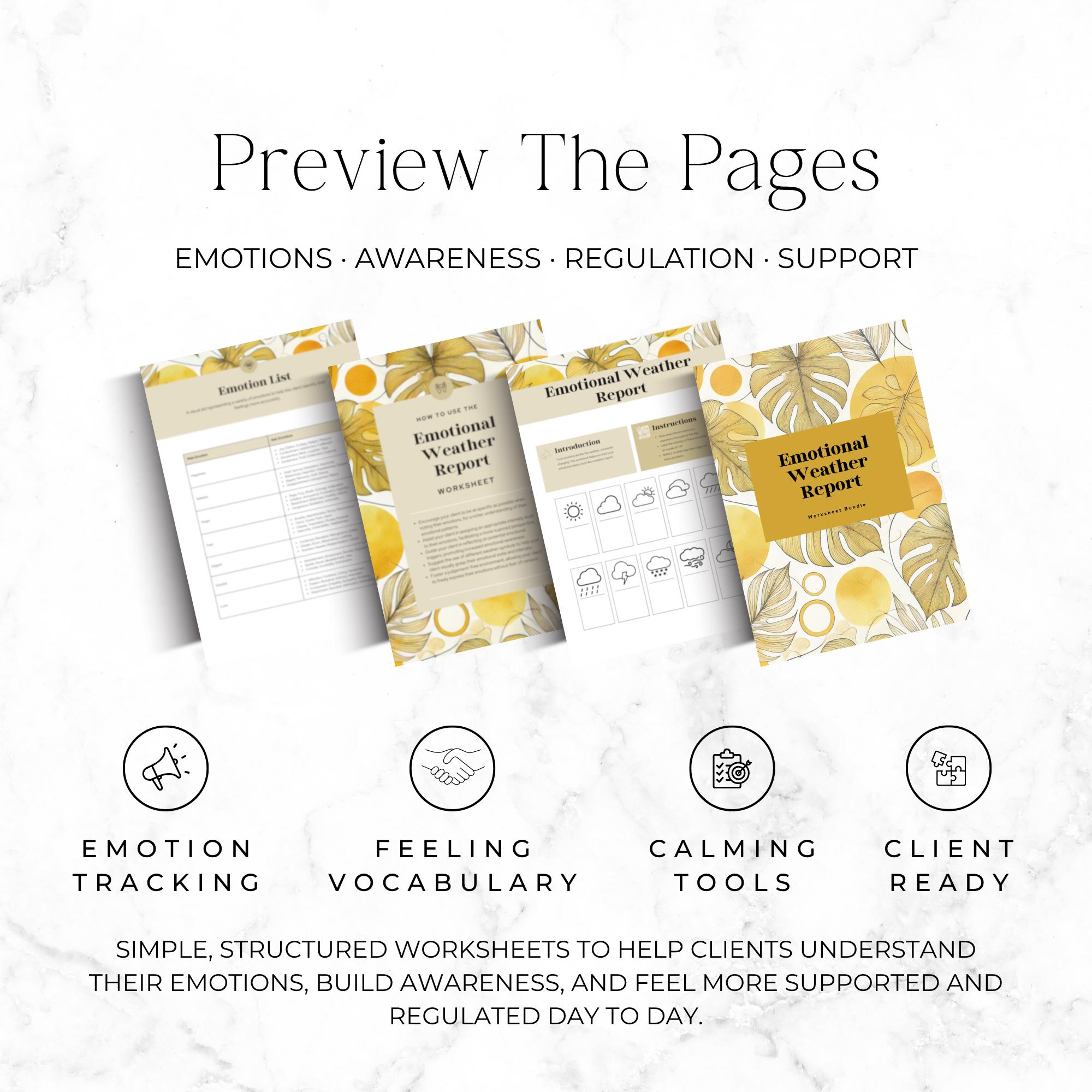 Emotional Regulation Worksheet for Coaches, Emotion Tracking Printable ...