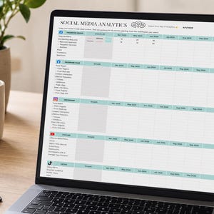 May include: A laptop displays a "Social Media Analytics" spreadsheet. The screen shows a table with rows for Facebook, Instagram, YouTube, and TikTok metrics. A coffee mug, a notebook, and a plant are on the wooden desk.