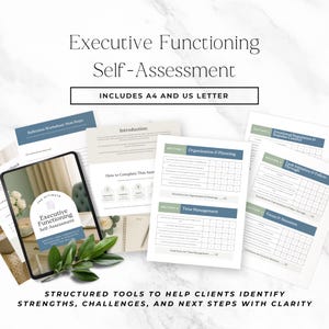 Executive Functioning Assessment Template, Editable Canva Coaching Worksheet, Executive Function Self Assessment Tool