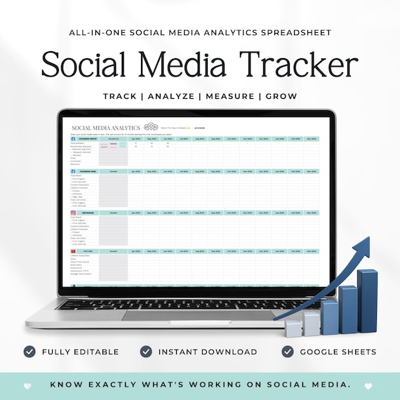 Social Media Analytics Tracker Spreadsheet, Google Sheets Social Media Tracker, Monthly Growth Template for Instagram TikTok YouTube P3