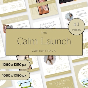 Instagram Launch Templates for Coaches, Course Beta Launch Canva Posts, Presell Content Bundle, Editable Instagram Graphics