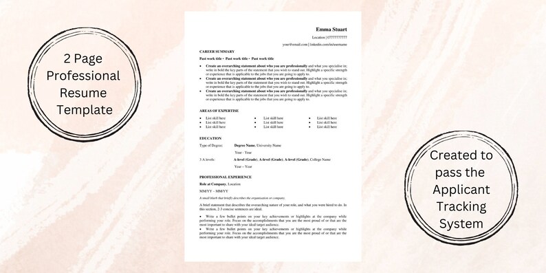 Professional Resume Template, CV Template, Filled Out Example of ...