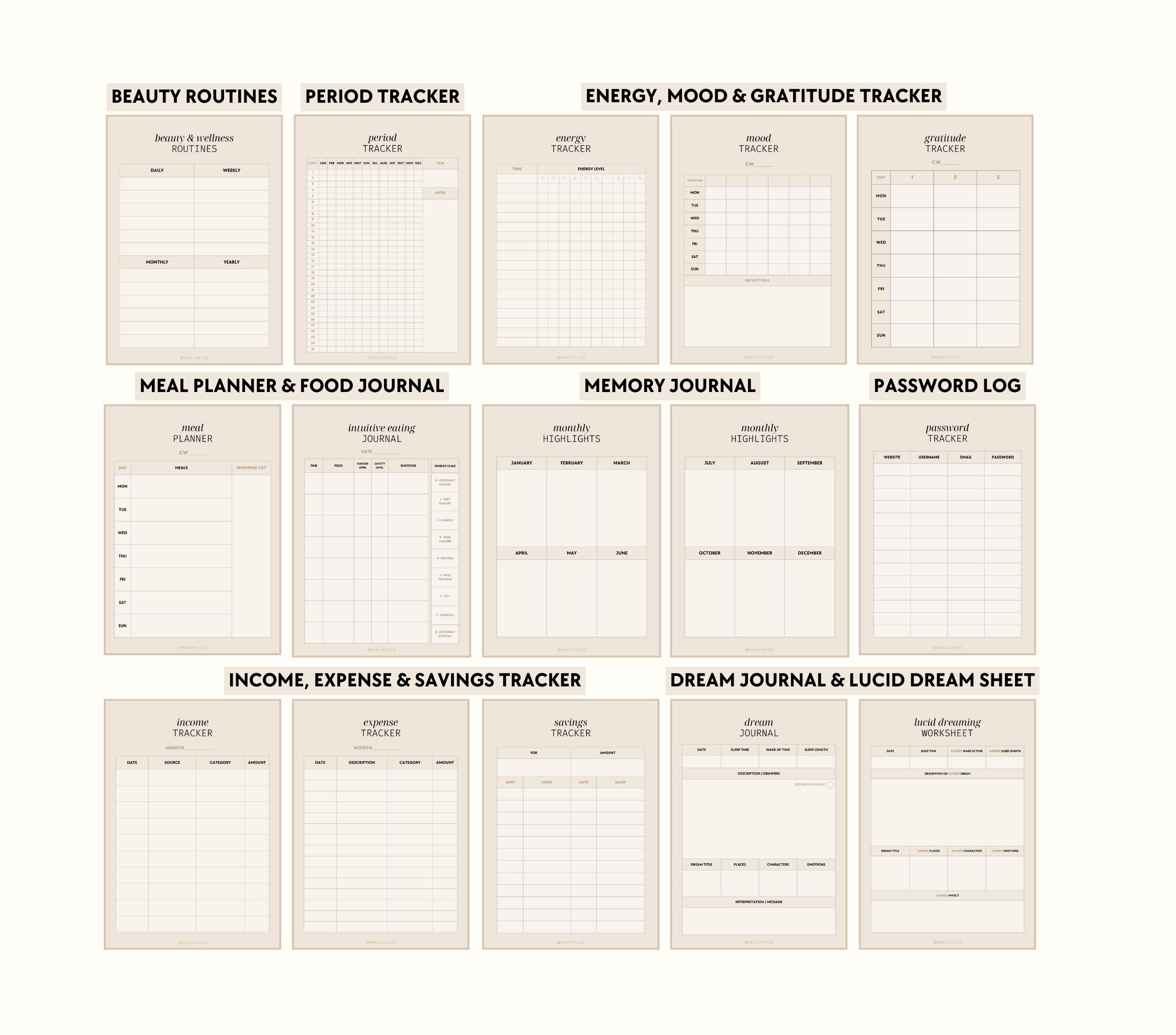 Printable Goal Setting Wheel for Business Planning