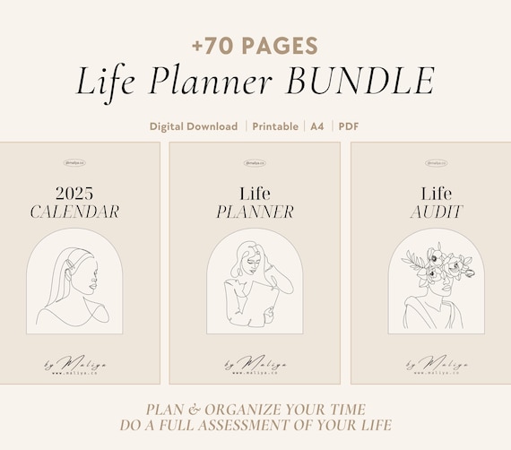 Life Planner Bundle | 2025 Digital Planner, Life Audit, Life Reset, Productivity, Goal Setting, Wheel of Life, Habit Tracker, Assessment