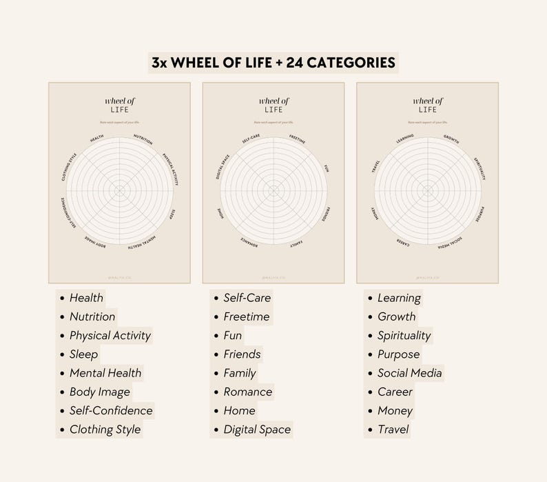 Life Audit Workbook - 2026 Wheel of Life, Life Reset, Assessment, Self-Growth, Life Planner, Self-Discovery, Self-Reflection, Goal Setting image 3