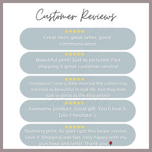 the customer review page for a website