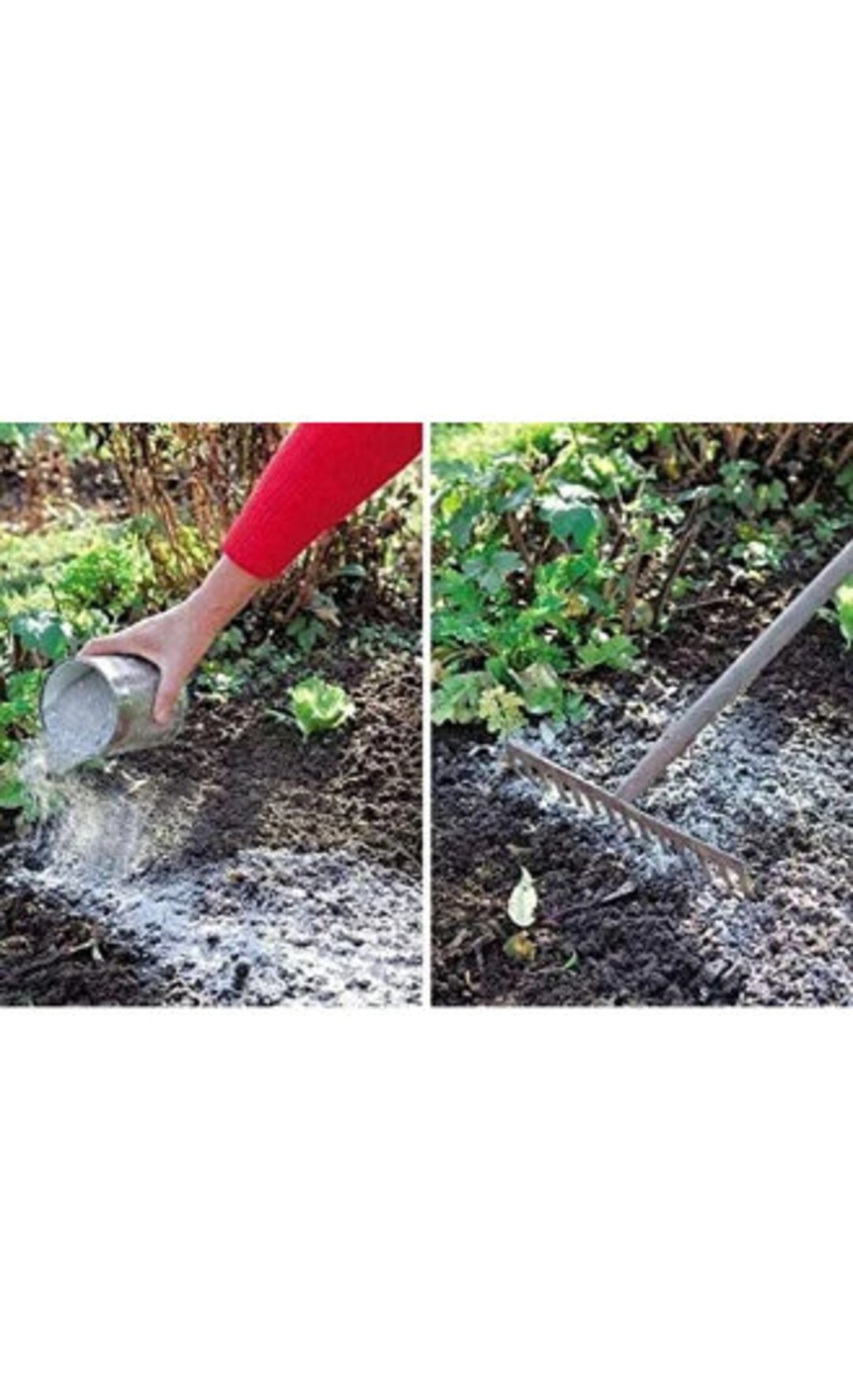 Fake Cremated Remains Wood Ash Hard Wood Ash premium Double Etsy