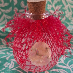May include: A clear glass bottle with a cork stopper, adorned with a red net and a decorative shell. The bottle is round and has a clear glass neck. The red net adds a decorative touch to the bottle.