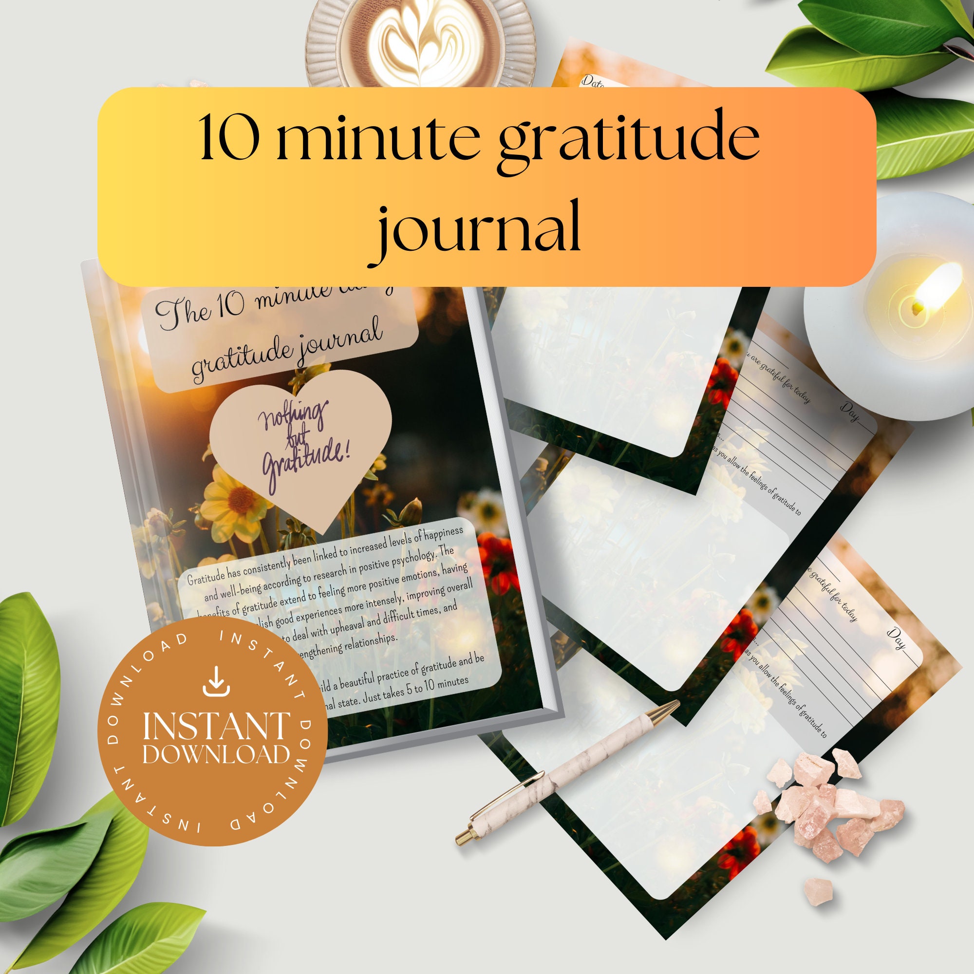 Not Your Average Gratitude Journal: Guided Gratitude + Self Reflection  Resources (Daily Gratitude, Mindfulness and Happiness Journal for Women)  (Hardcover) 