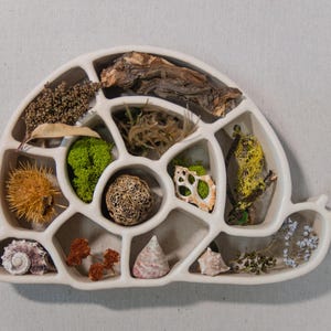 Snail Curio Display Unit – Hand Built Ceramic Trinket Holder, Ceramic Wall Hanging, Keepsake Display, Ceramic Wall Art, White Wall Decor