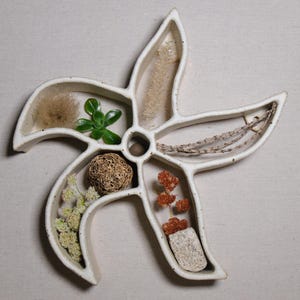 White Starfish Curio Shelf – Handmade Seastar Ceramic Trinket Self, Ceramic Wall Hanging, Stoneware Wall Art, Speckled Clay Display Shelves