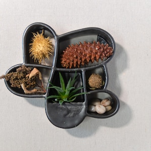 Black Curio & Succulent Display Unit –Hand Built Trinket Holder, Ceramic Wall Hanging, Keepsake Display, Ceramic Wall Art, Living Wall Decor