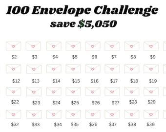 100 Envelope Challenge Kit 3x5 Box, 100 Envelopes, Laminated Tracker ...