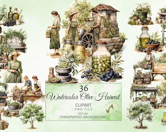 Watercolor Olive Clipart Bundle, Mediterranean Harvest (Digital Download)