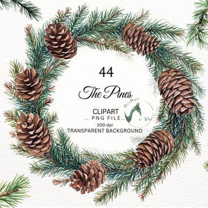 Clipart pin aquarelle hiver clipart branches de Noël pins d'hiver faire-part de mariage verdure blanc Noël feuilles pommes de pin à feuilles persistantes