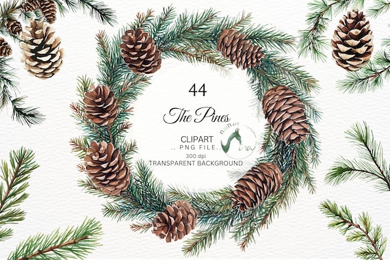 Aquarell Tannenzweig Clipart, Winterbilder (PNG, 44 Dateien)