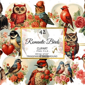 Clipart de pássaros românticos, clipart fofo, casal pássaros floral png, dia dos namorados png, clipart de coruja, clipart de pássaros, clipart de casal, clipart floral