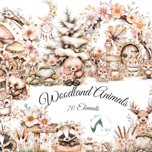 Bundle aquarelle boho des animaux de la forêt, clipart animaux aquarelles, renard ours chevreuil hibou lapin raton laveur écureuil, décoration de chambre d'enfant