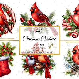 42 Natal Cardeal Vermelho Clipart PNG, Aquarela clipart PNG, pássaro clipart, PNG, Aquarela, Download Digital, Pássaro de Natal, Clipart Vermelho