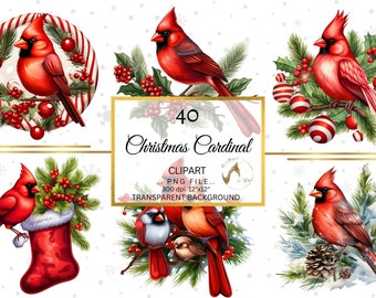 42 Christmas Red Cardinal Clipart PNG, Watercolor clipart PNG, bird clipart, PNG, Watercolor, Digital Download, Christmas Bird, Red Clipart