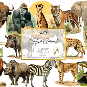 Pacchetto clipart animali Safari, PNG savana giungla, animali africani, clip art di vita selvaggia, immagini animali Safari con sfondo trasparente