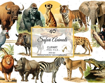 Safari Animal Clipart Bundle, PNG Images (Digital Download)