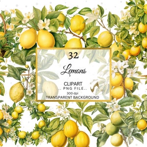 32 Aquarell Zitrone Clipart, Obst Clipart, Zitrone PNG Bündel, Aquarell Zitronenkranz, Zitronenblumen, Zitronenbaum, Zitrusfrüchte PNG kommerzielle Nutzung