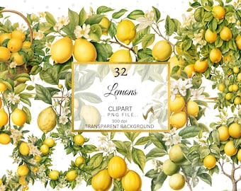 Imágenes prediseñadas de limones en acuarela, corona de cítricos, flores (descarga digital PNG)