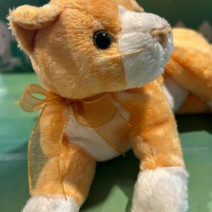 Tabs the cat 2002’