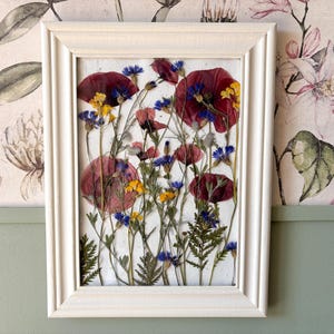 Pressed Flower Frame – Poppy, Cornflower Botanical Art in Hand-Painted Wood