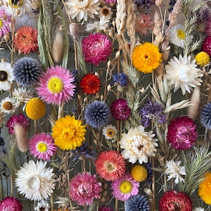 May include: A circular floral arrangement featuring a variety of dried flowers in vibrant colors. The arrangement includes yellow, pink, orange, and white flowers, along with green foliage and wheat stalks. The flowers are arranged on a wire mesh.
