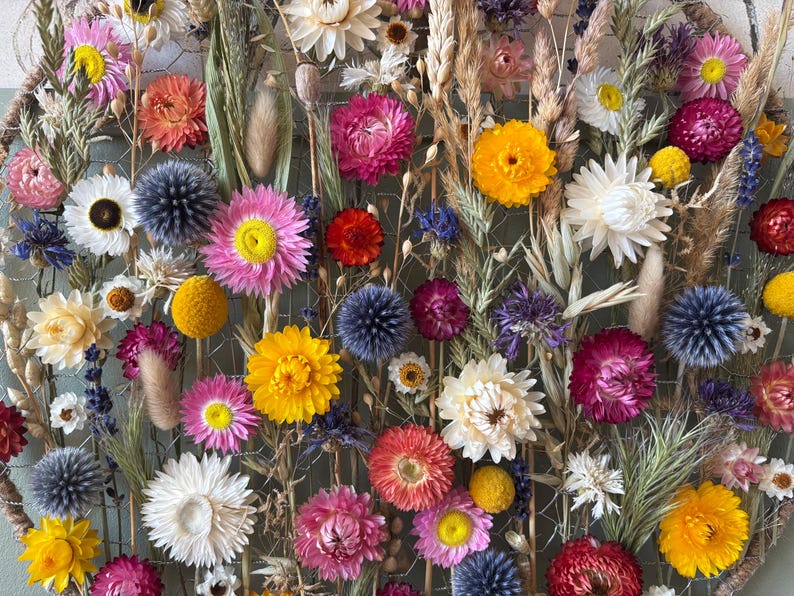 May include: A circular floral arrangement featuring a variety of dried flowers in vibrant colors. The arrangement includes yellow, pink, orange, and white flowers, along with green foliage and wheat stalks. The flowers are arranged on a wire mesh.