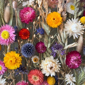 May include: A vibrant arrangement of dried flowers in various colors, including pink, yellow, orange, and blue. The flowers are arranged on a wire mesh background, creating a textured and visually appealing display. The arrangement includes different types of flowers and grasses.