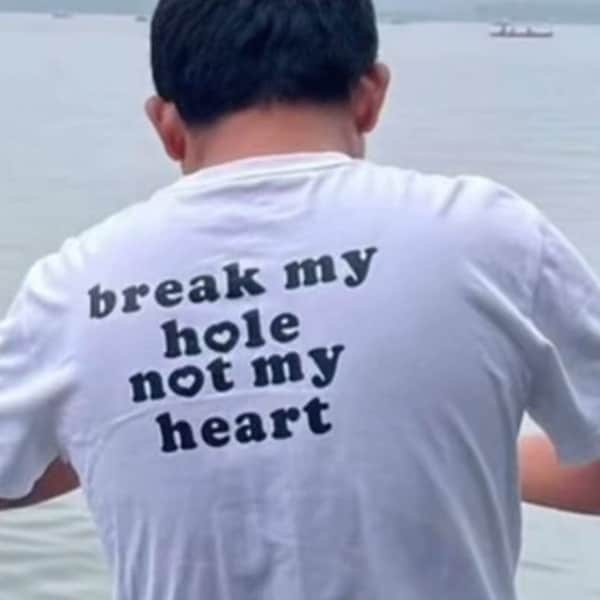 Break my Hole not my Heart Y2K Cursed T-Shirt Funny Meme Twitter Shirts that go hard GenZ Meme meme Tee  90s Style Ironic cursed Tee Adults