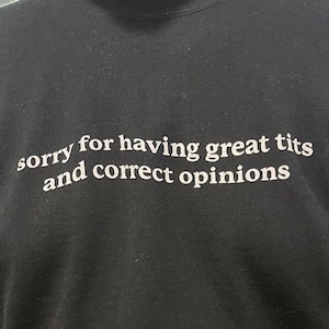 Sorry for having great tis and correct opinions  T-Shirt Y2K Cursed T-Shirt Twitter Meme Paris Hilton Shirts that go hard GenZ Meme meme Tee