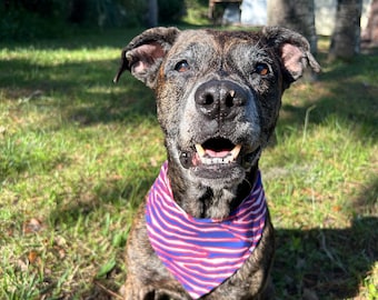 Buffalo Bills Dog Bandanna